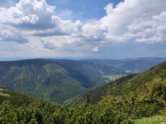 IMG_20230608_124133.jpg