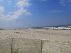 IMG_20230609_123658.jpg