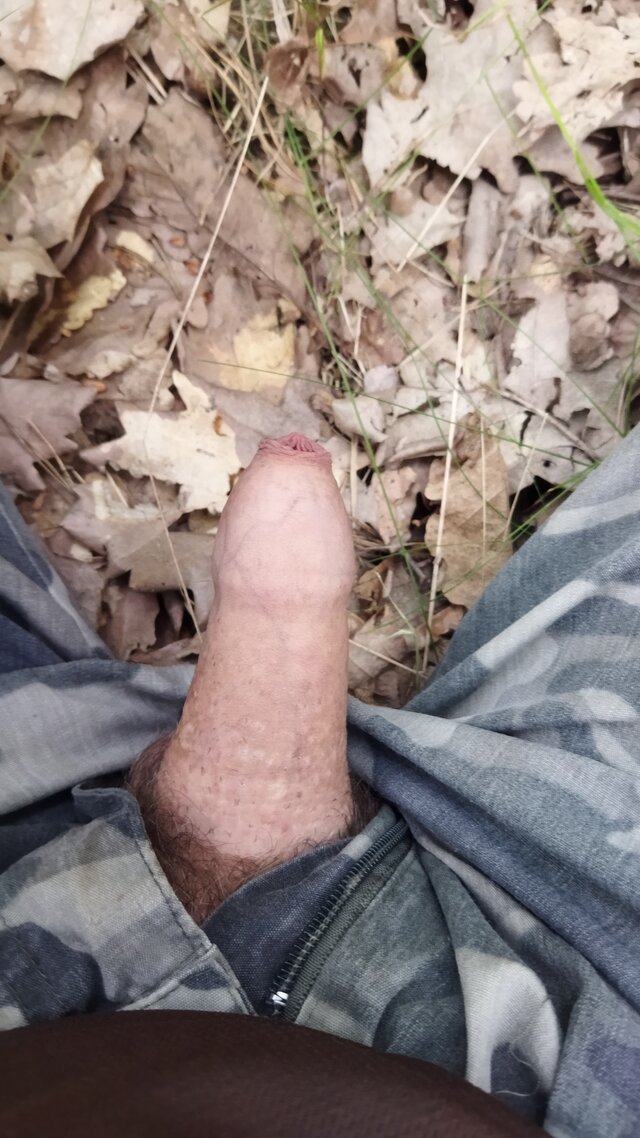 raztak79