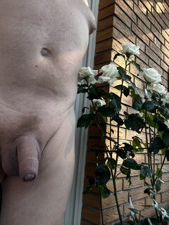 IMG_9877.jpeg
