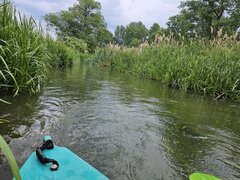20230609_152006.jpg