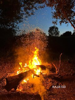 IMG_20230610_222324.jpg