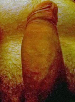 WP_20230610_005.jpg