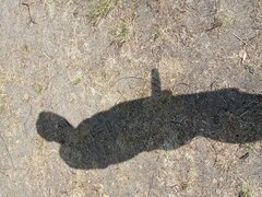 IMG_20230612_102024.jpg