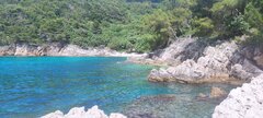IMG_20230612_105741.jpg