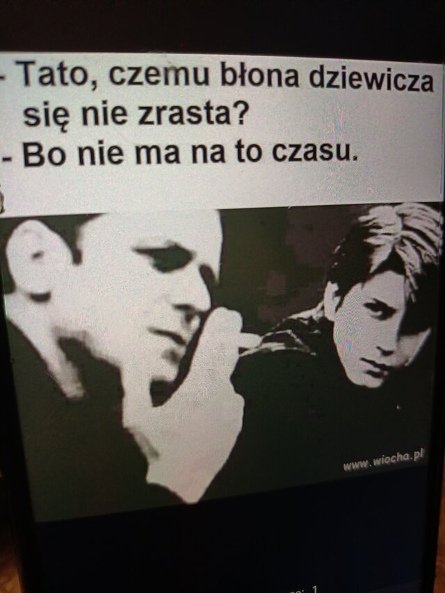 Szarozielonooka