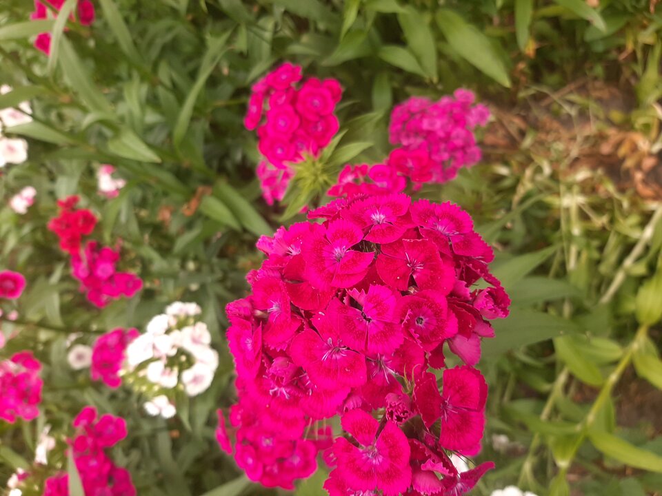 20230613_175655.jpg - Krzyszto1234