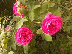 20230613_175554.jpg
