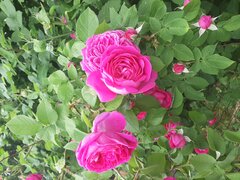 20230613_175559.jpg