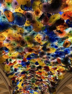 IMG_5942.jpeg