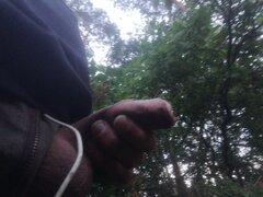 IMG_20230614_202747.jpg