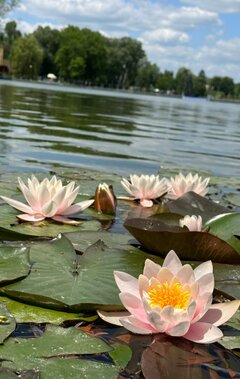 IMG_20230613_14.jpg