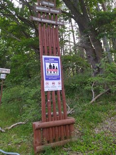 IMG_20230617_210937.jpg