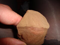 DSC00786.JPG