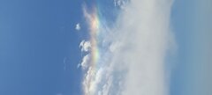 20230610_132601.jpg
