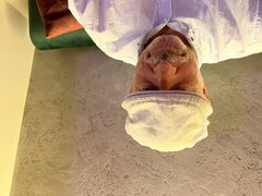A7370B50-7426-4A0E-A5FD-422E62BCA724.jpeg