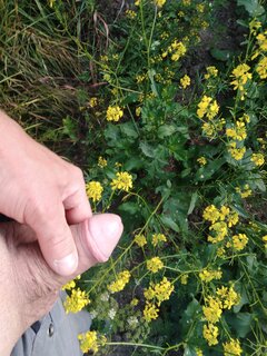 IMG_20230619_175708.jpg