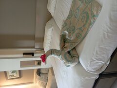 IMG_20230527_085841.jpg