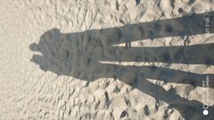 IMG_20210225_113510.jpg