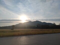 IMG_20230621_060535.jpg