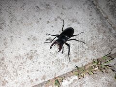 20230619_214044.jpg