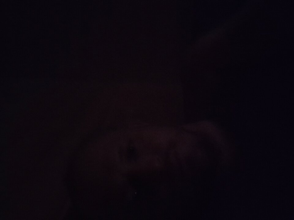 16875561037041708763992986168390.jpg - A101