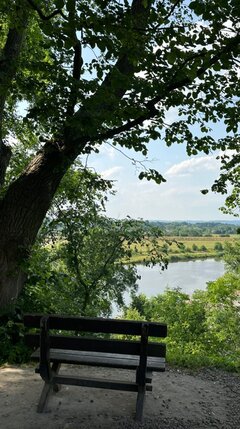 IMG_2023062234.jpg