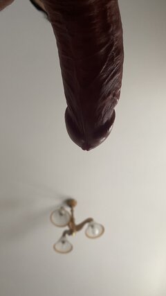 IMG_9301.jpeg
