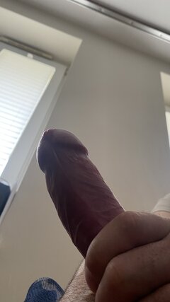 IMG_9329.jpeg