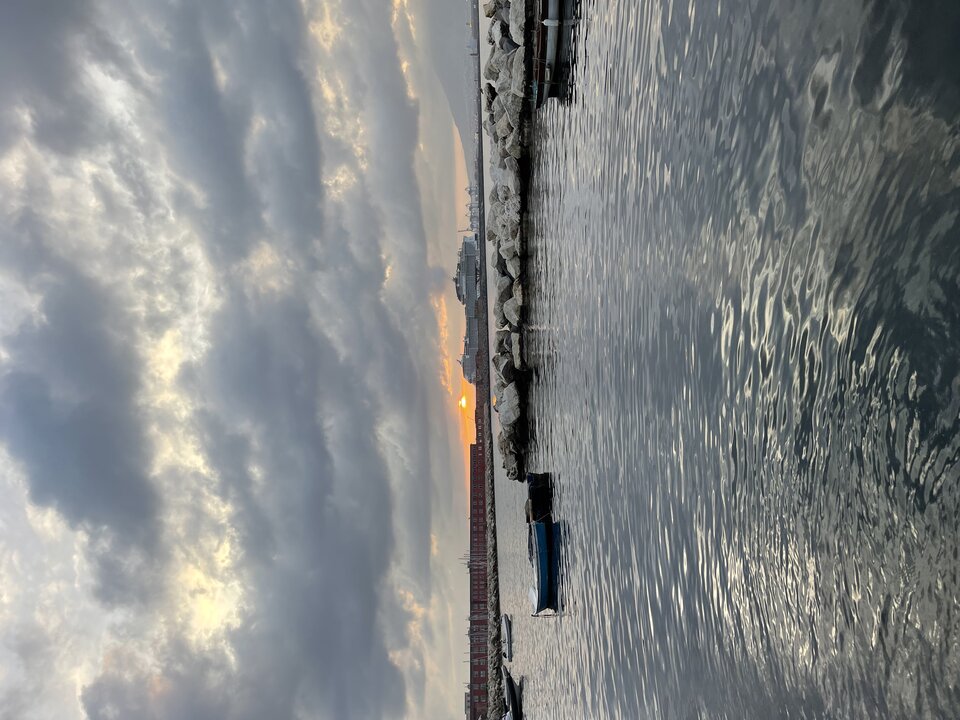 IMG_0260.jpeg - This_FaCeT