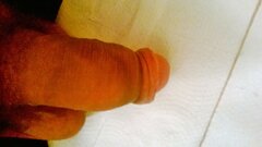 WP_20230624_003.jpg