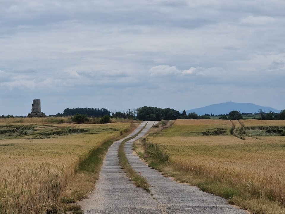20230625_120524.jpg - widmo75