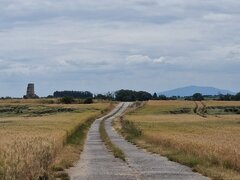 20230625_120524.jpg