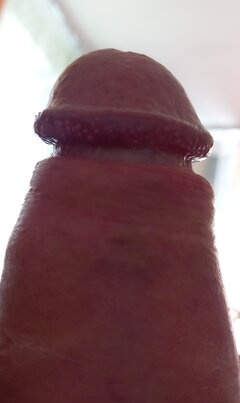 20230625_130533.jpg