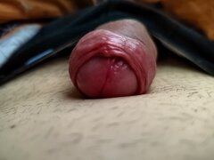 IMG_20230624_064334.jpg