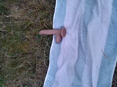 20230626_040847.jpg