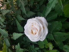 20230625_210940.jpg