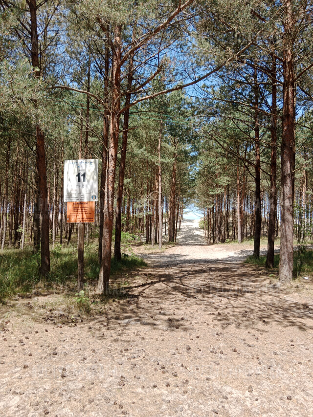 Apetycznaparaa