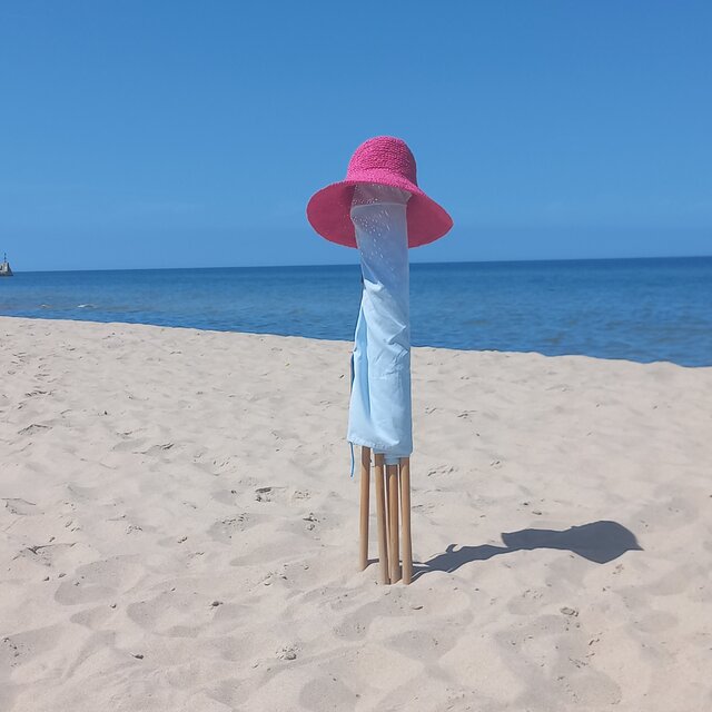 OpenMindOpole