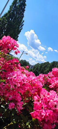 IMG_20230626_140223.jpg