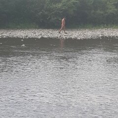 20230622_134207.jpg