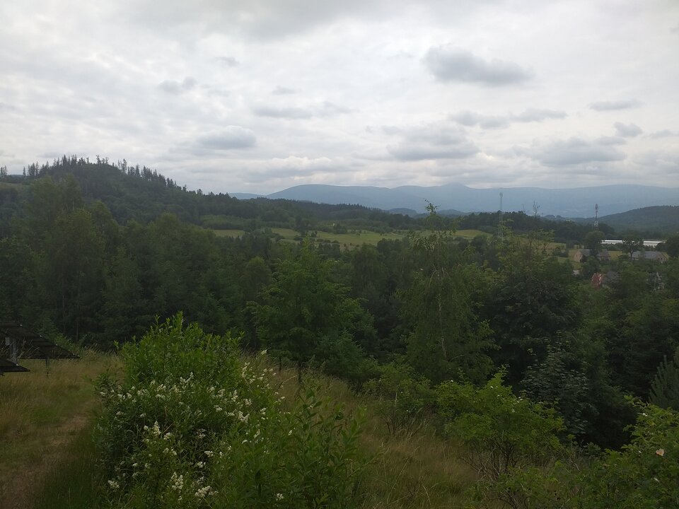 20230625_132056.jpg - pokaon
