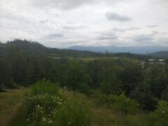 20230625_132056.jpg