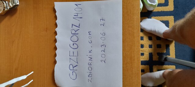 Grzegorz1401