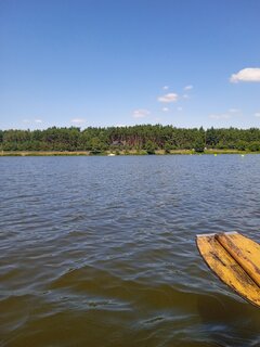 IMG_20220724_125955_1.jpg