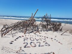 20230628_134153.jpg