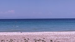 PXL_20230628_094628651.jpg