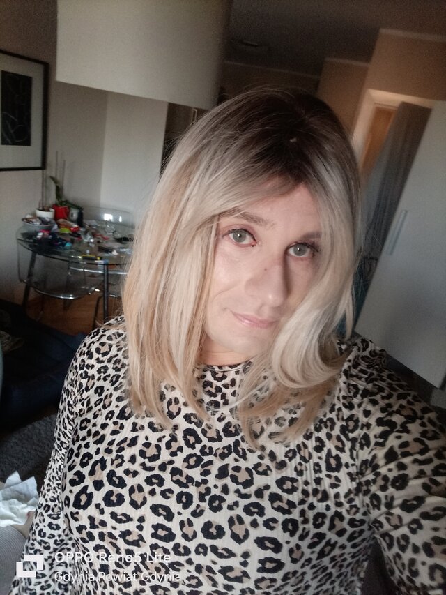 sylwuniatrans