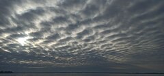 IMG_20230629_193451.jpg