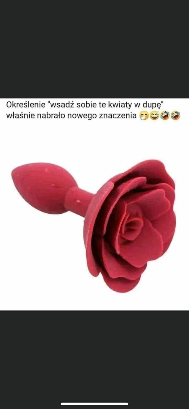 Pancio1suczka1